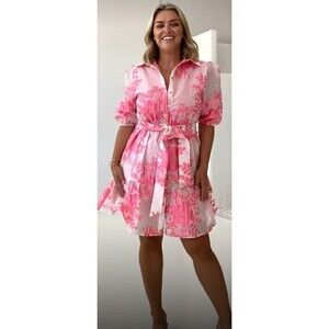 Gingham & Heels Glazer Pink Brocade Embroidered Floral Mini Belt Dress Size 16